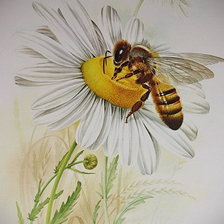 Оригинал схемы вышивки «пчела» (№2423265)