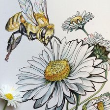 Оригинал схемы вышивки «пчела» (№2423268)
