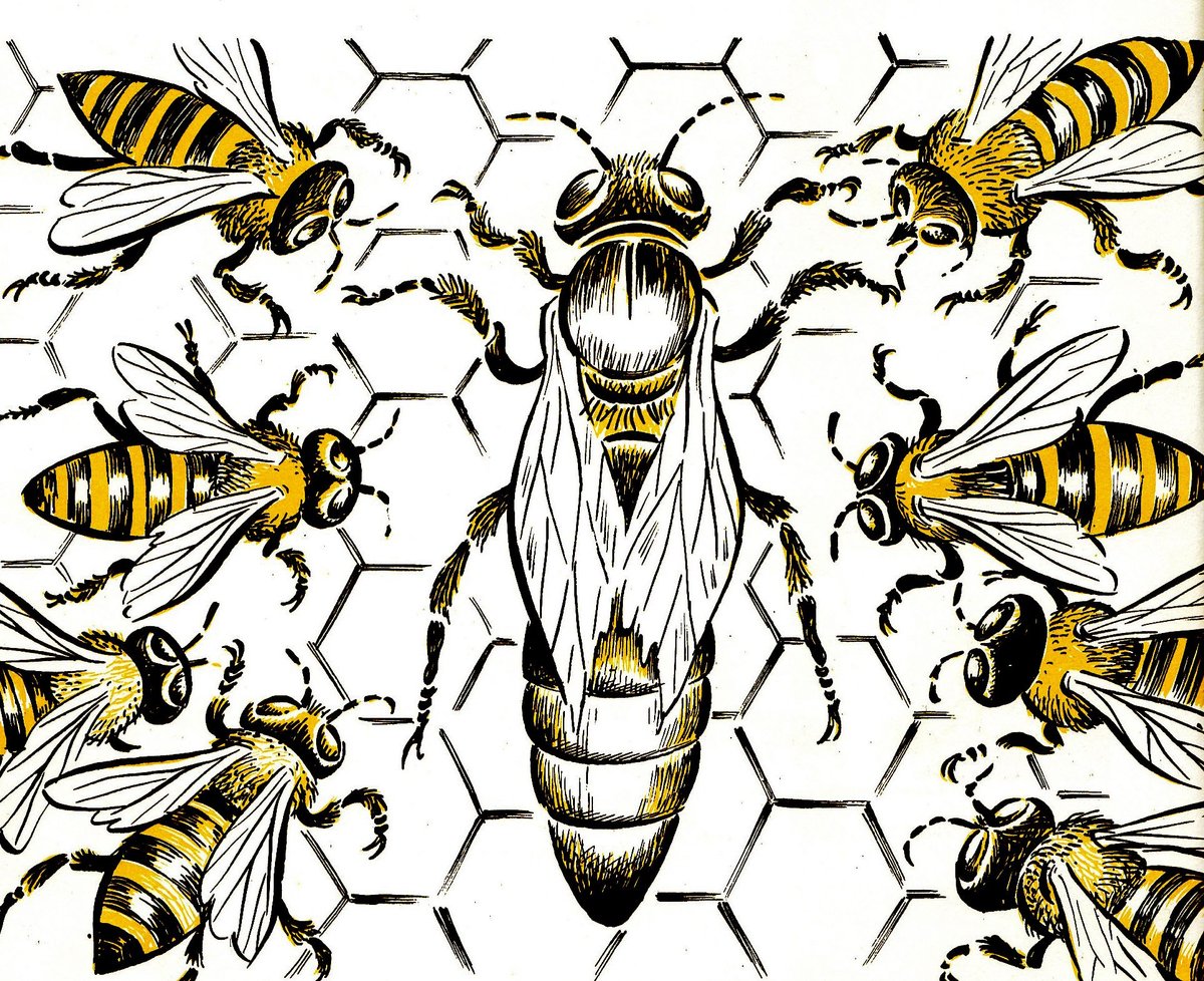пчелы - насекомые - оригинал