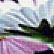 Предпросмотр схемы вышивки «космея» (№2423502)