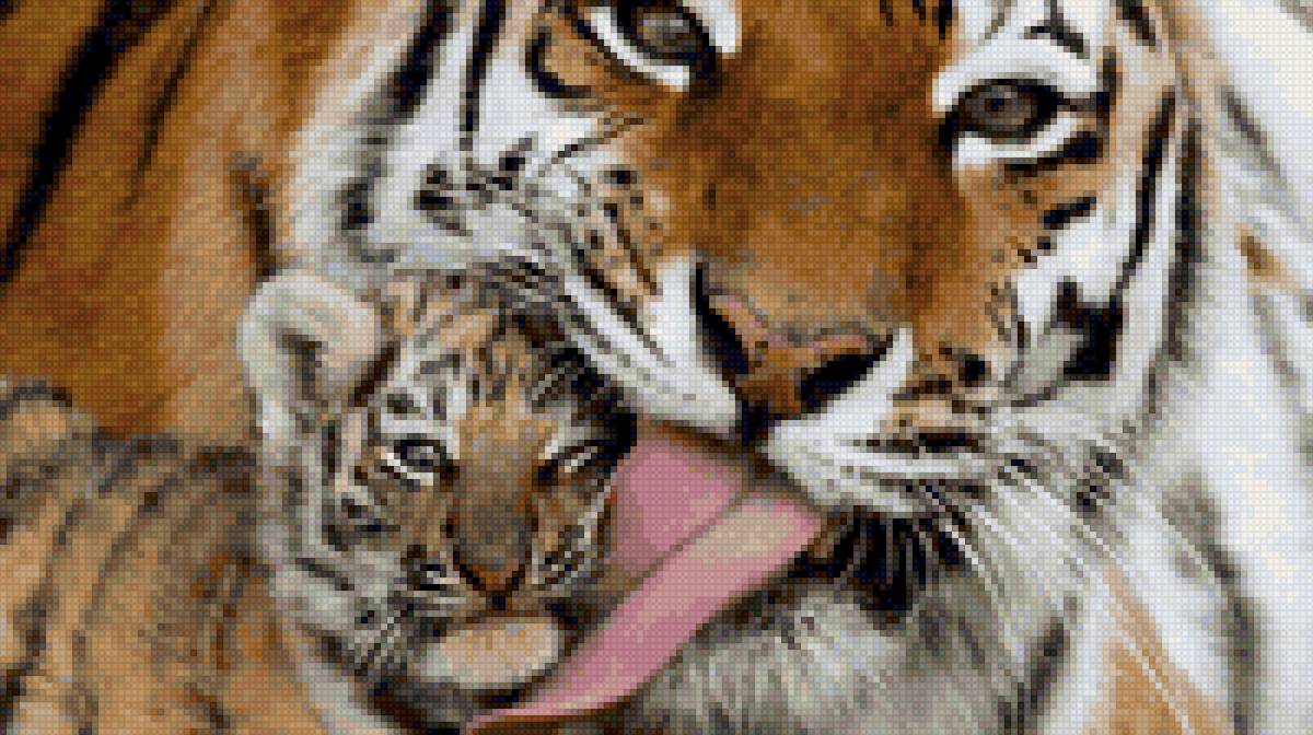 тигр с сыном - животные - предпросмотр
