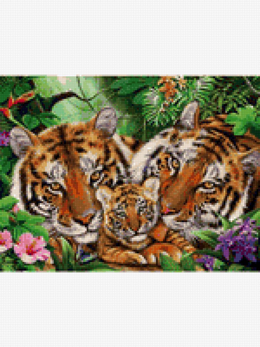 тигриная семья - животные, год тигра - предпросмотр