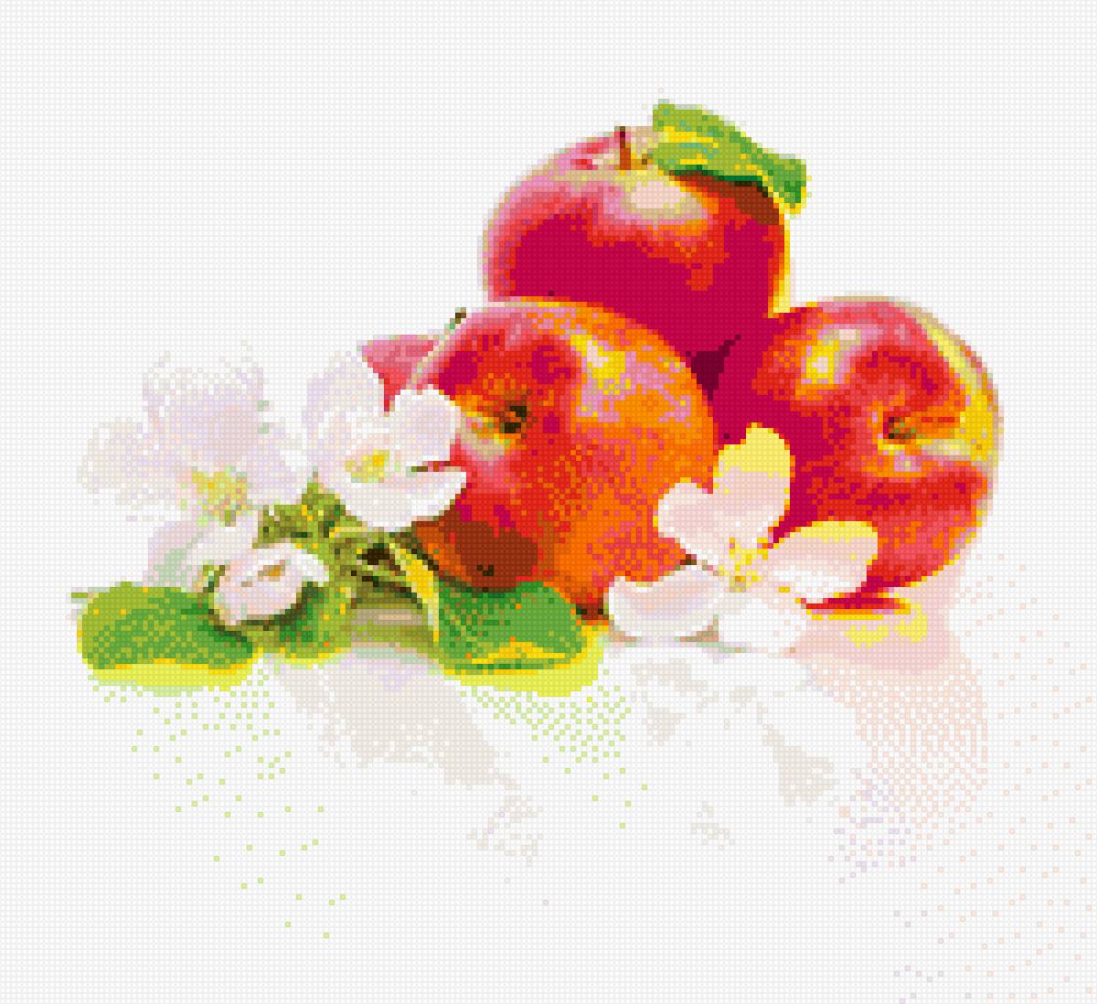 Яблоки - предпросмотр