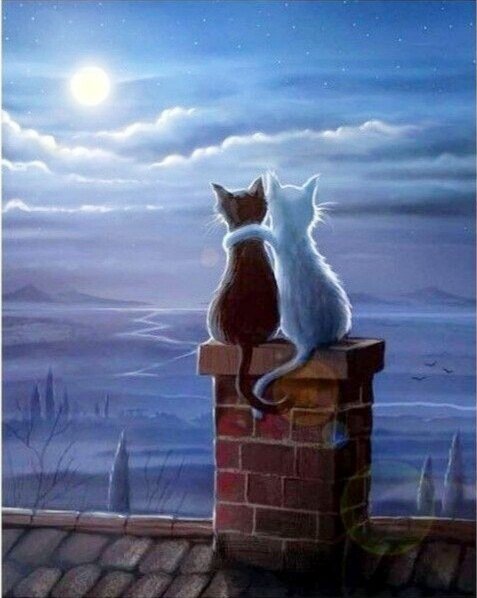 Котики на крыше - ночь, коты, луна, любовь, дружба, крыша, романтика - оригинал