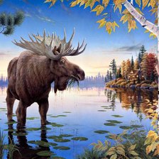 Схема вышивки «norte 1»