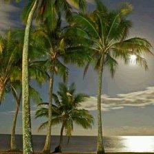 Схема вышивки «playa»