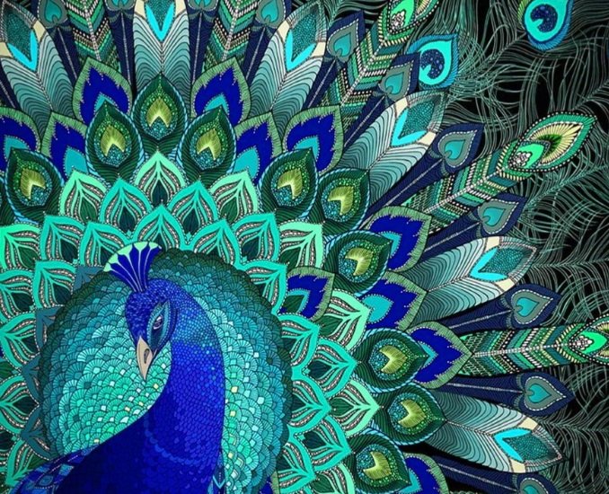 Павлин - птица - оригинал