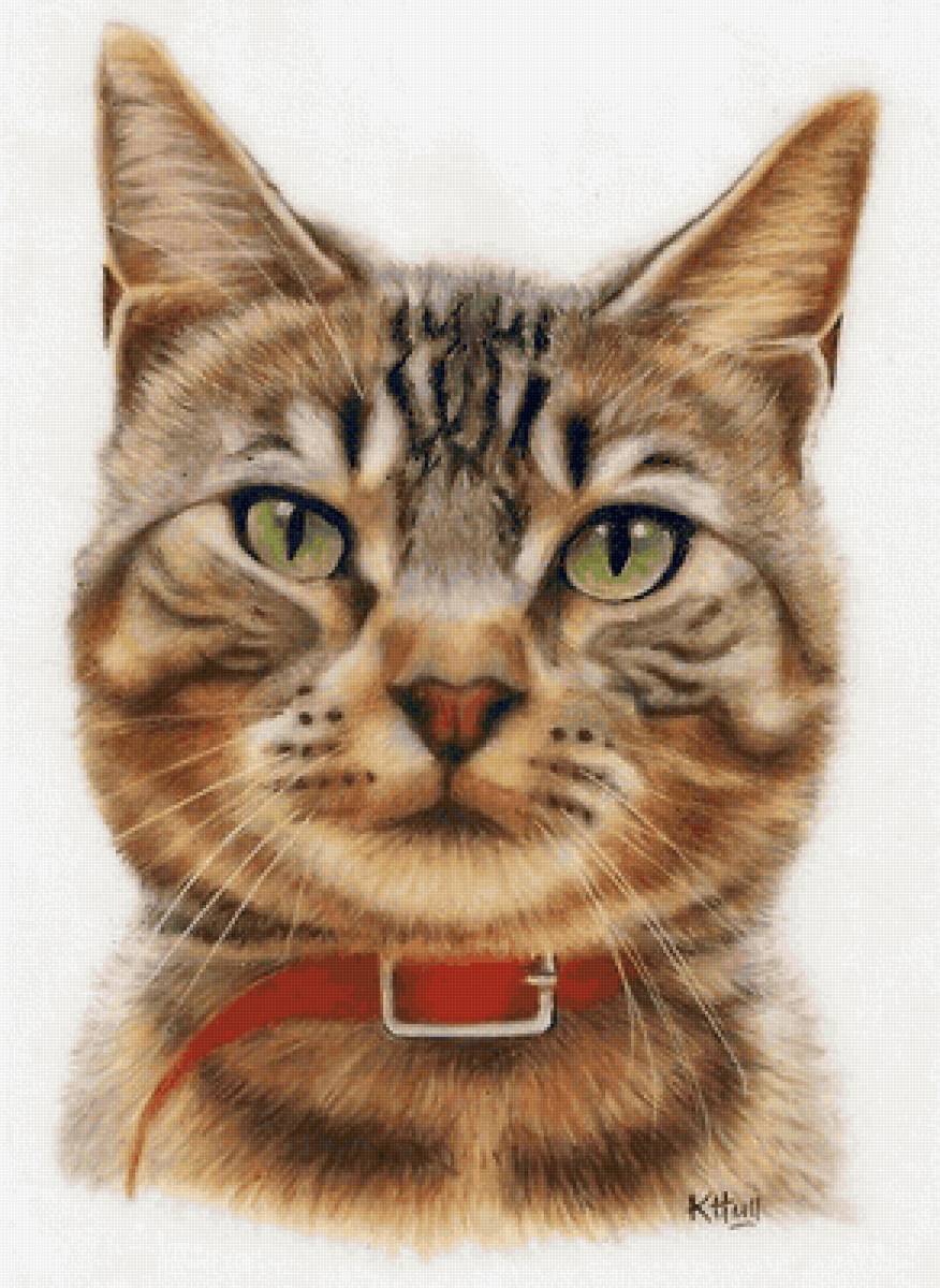 Gato. - animais. - предпросмотр