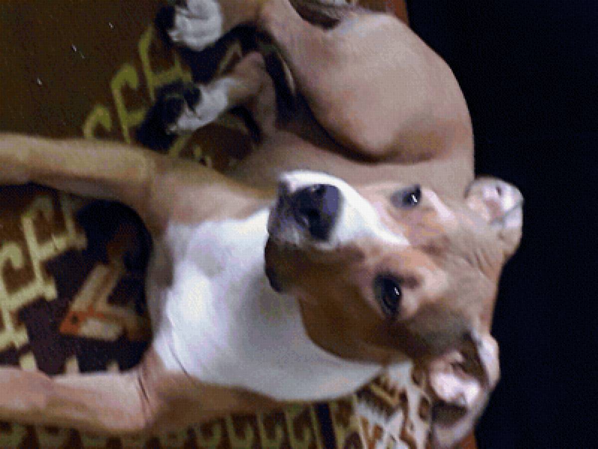 джесси - предпросмотр