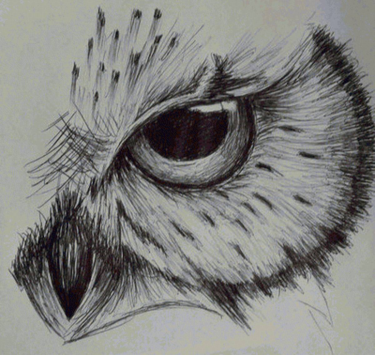 №2424017 - сова, птица, арт - предпросмотр