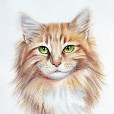 Схема вышивки «№2424049»