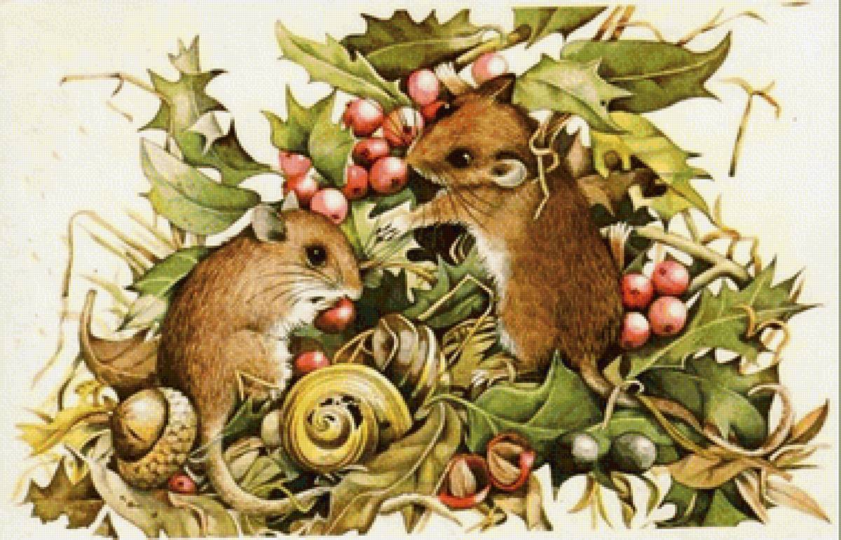 мышки - грызуны - предпросмотр