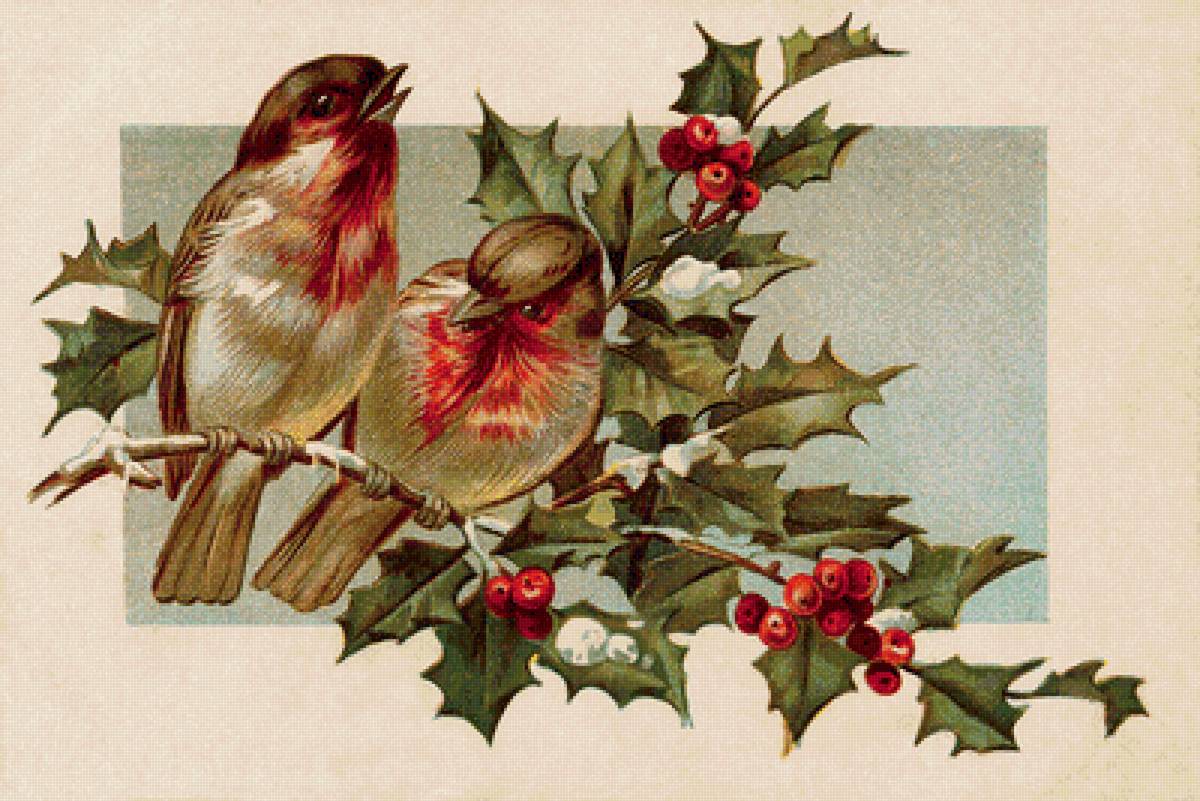 птицы - рисунок - предпросмотр