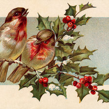 Схема вышивки «птицы»