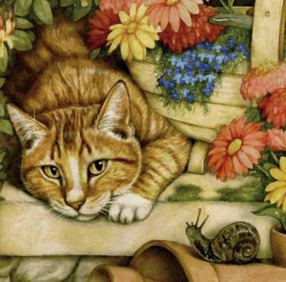 кот - коты - предпросмотр