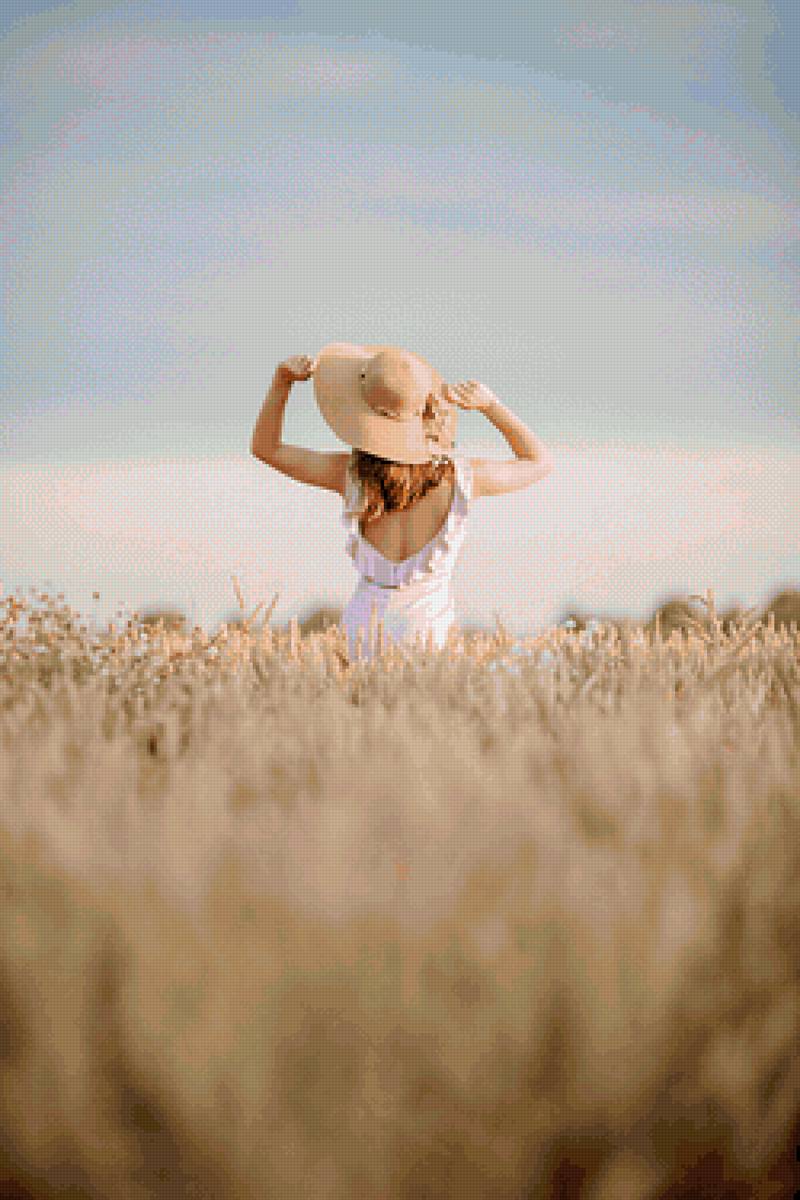Рожь - поле, рожь, шляпа, девушка - предпросмотр