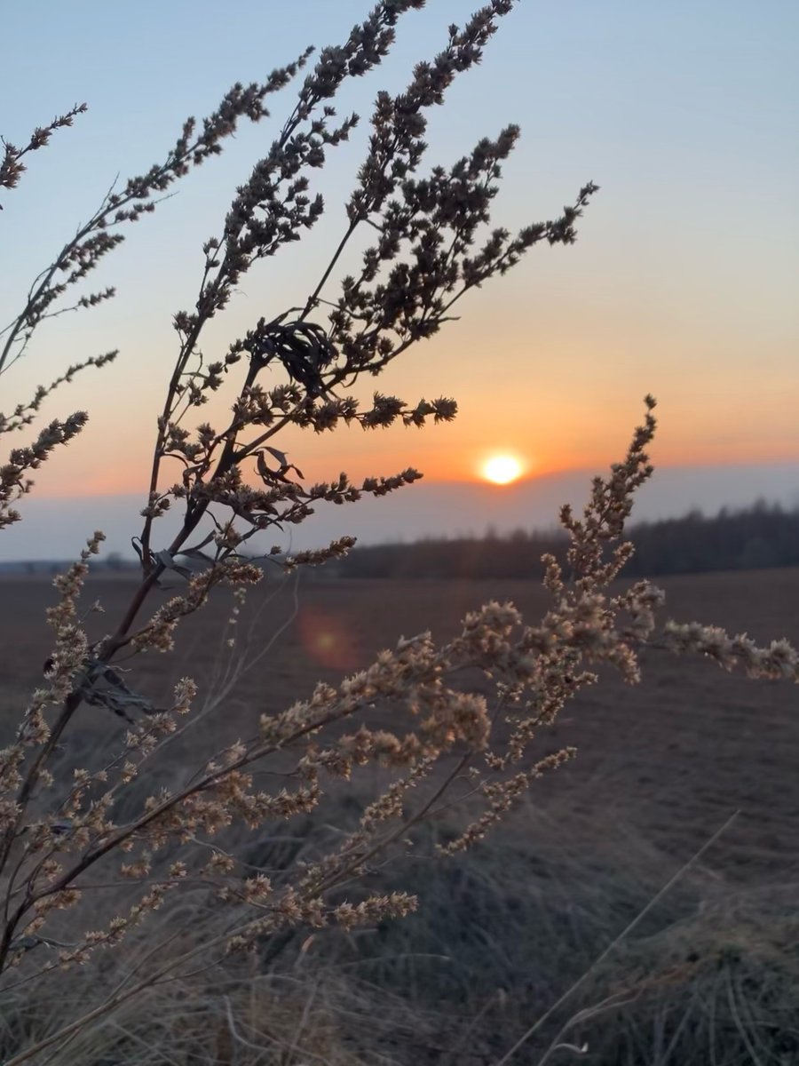 Закат - закат, поле - оригинал