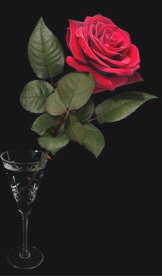 №2426429 - оригинал