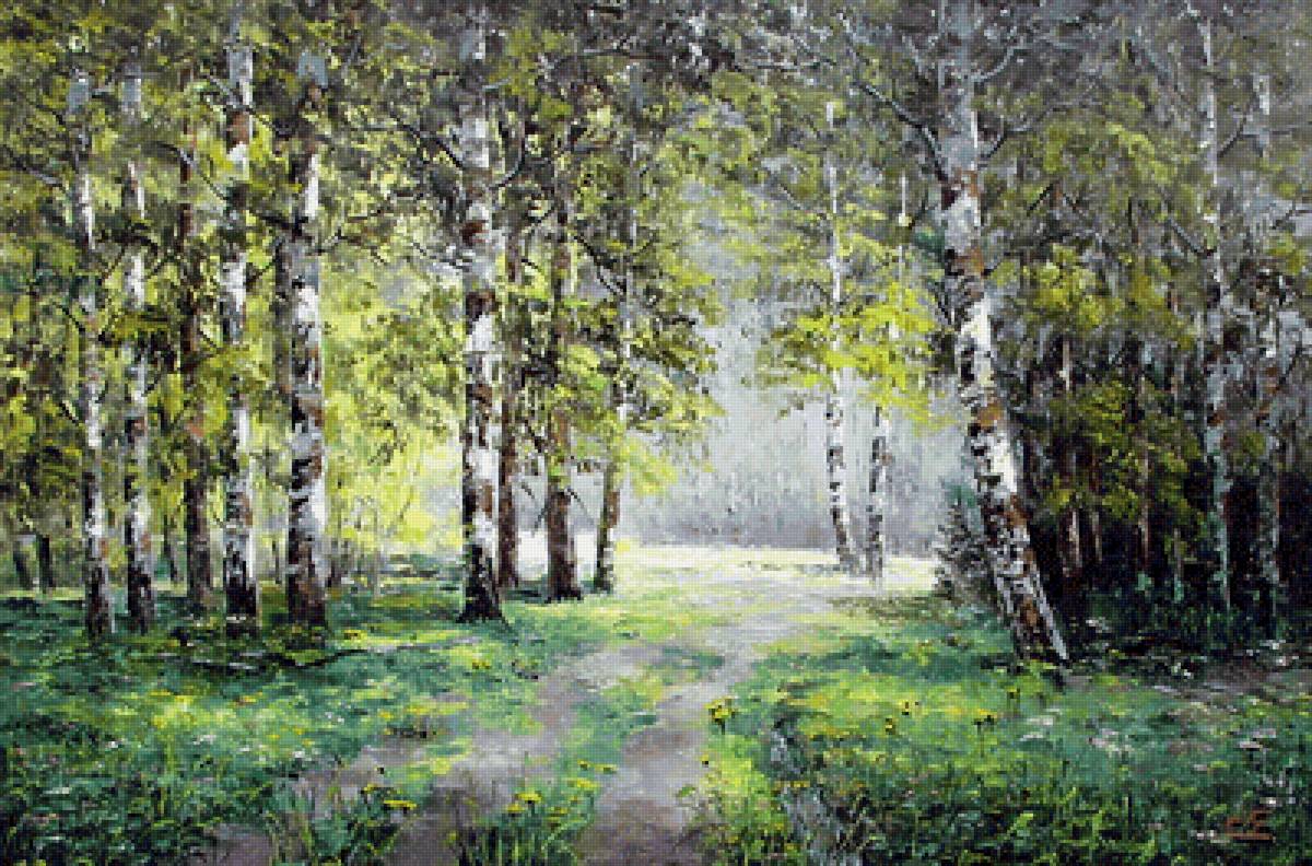 березы - предпросмотр