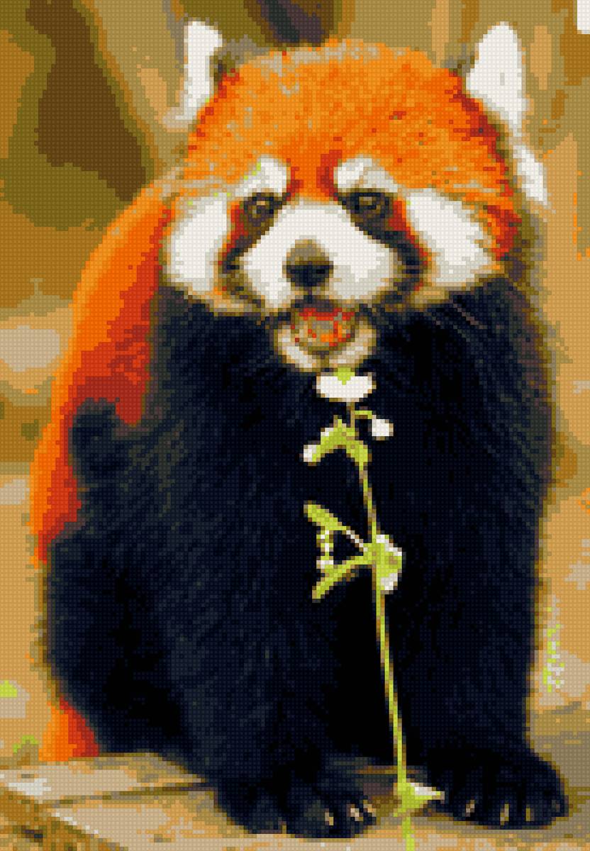 Красная панда - животное, панда, красная - предпросмотр