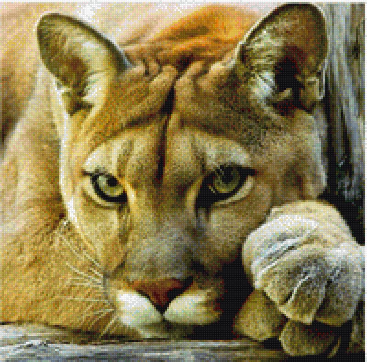 Puma 2 - предпросмотр