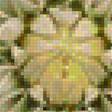 Предпросмотр схемы вышивки «flor» (№2426719)