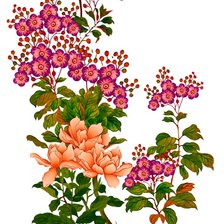 Схема вышивки «№2426971»