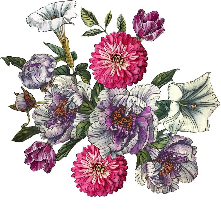 №2426975 - оригинал