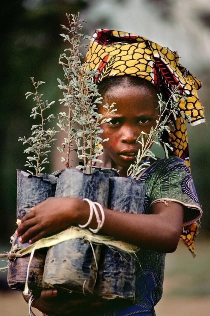 №2427131 - оригинал