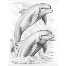 Схема вышивки «Дельфины»