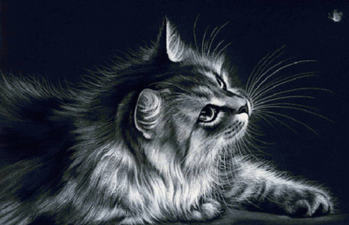 №2427365 - предпросмотр