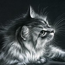 Схема вышивки «№2427365»