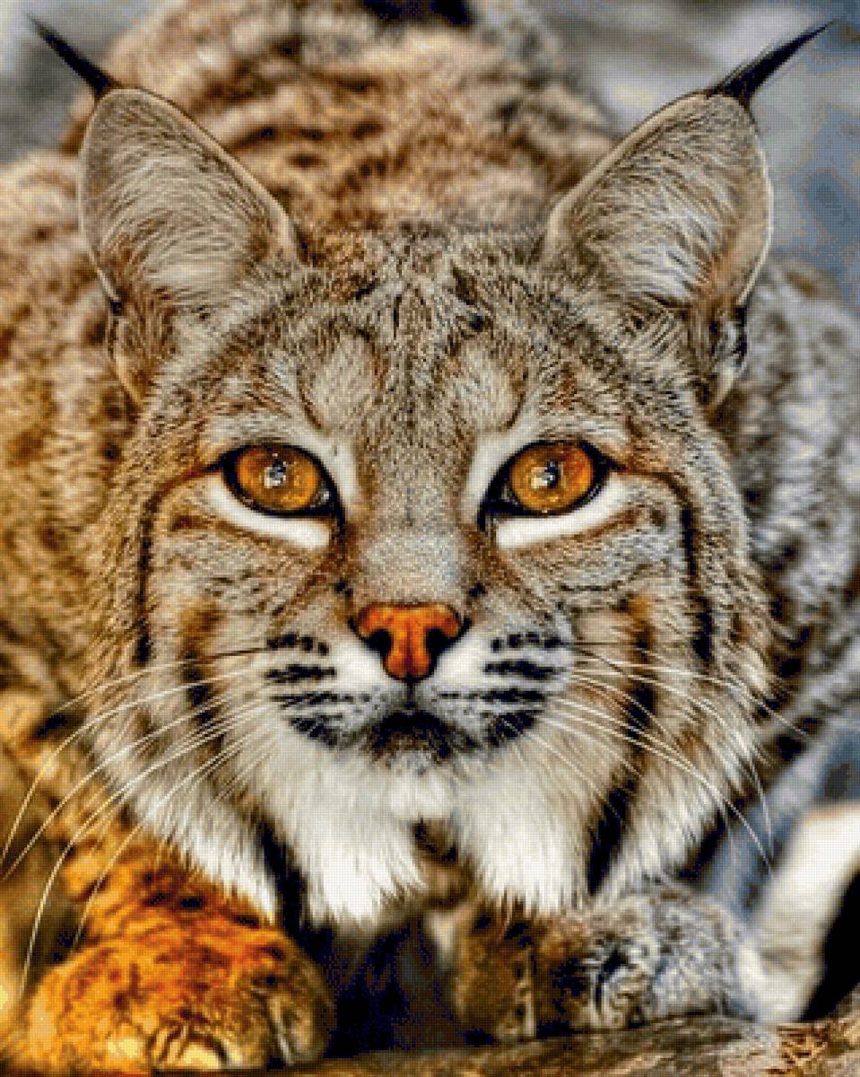 №2427398 - предпросмотр