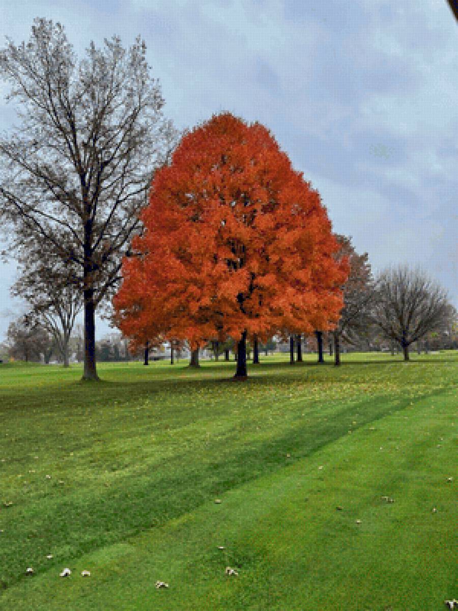 №2427399 - предпросмотр