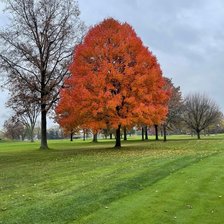 Схема вышивки «№2427399»