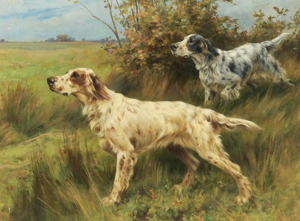 Thomas Blinks (1860-1912), Тwo english setters on point, 1897 - собаки, анимализм, живопись, охота - оригинал