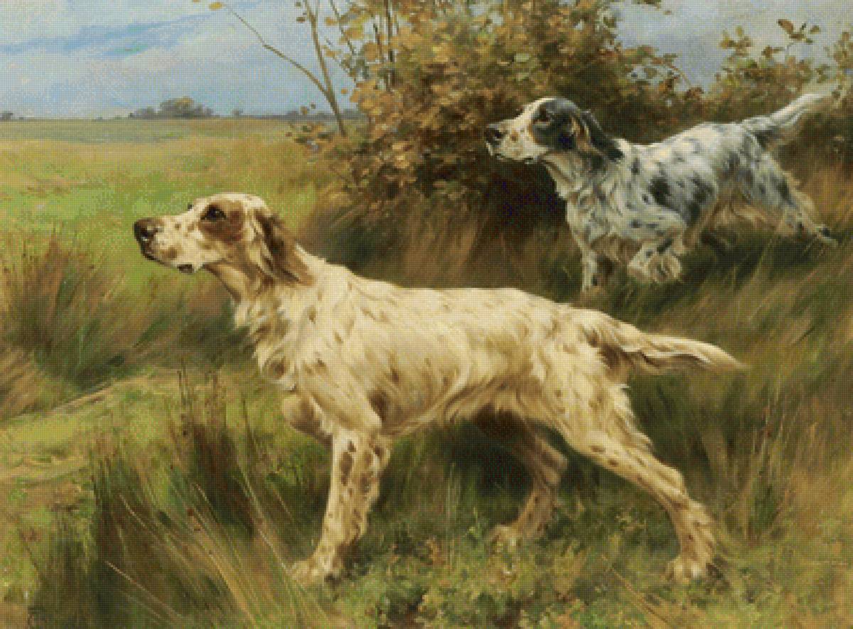 Thomas Blinks (1860-1912), Тwo english setters on point, 1897 - анимализм, охота, живопись, собаки - предпросмотр