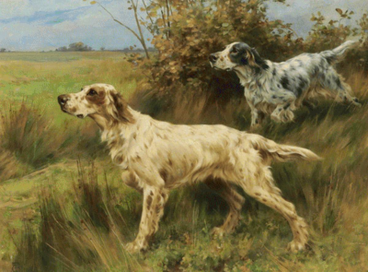Thomas Blinks (1860-1912), Тwo english setters on point, 1897 - анимализм, охота, собаки, живопись - предпросмотр