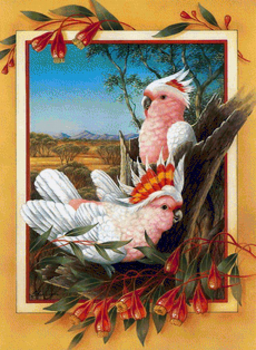 Птицы - птицы - предпросмотр