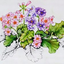 Схема вышивки «примула»