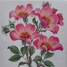 Схема вышивки «шиповник»