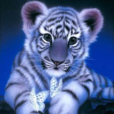 Tigre bebé azul