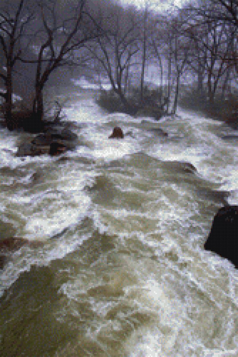 Потоп - потоп, лес, вода - предпросмотр