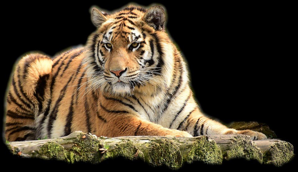 №2429567 - оригинал