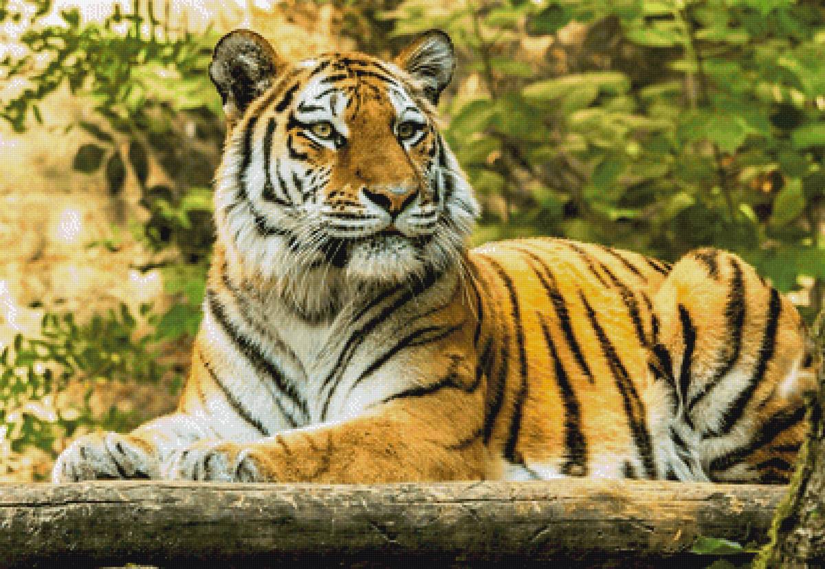 №2429588 - предпросмотр