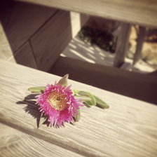 Схема вышивки «Flor»