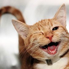 Схема вышивки «№2429667»