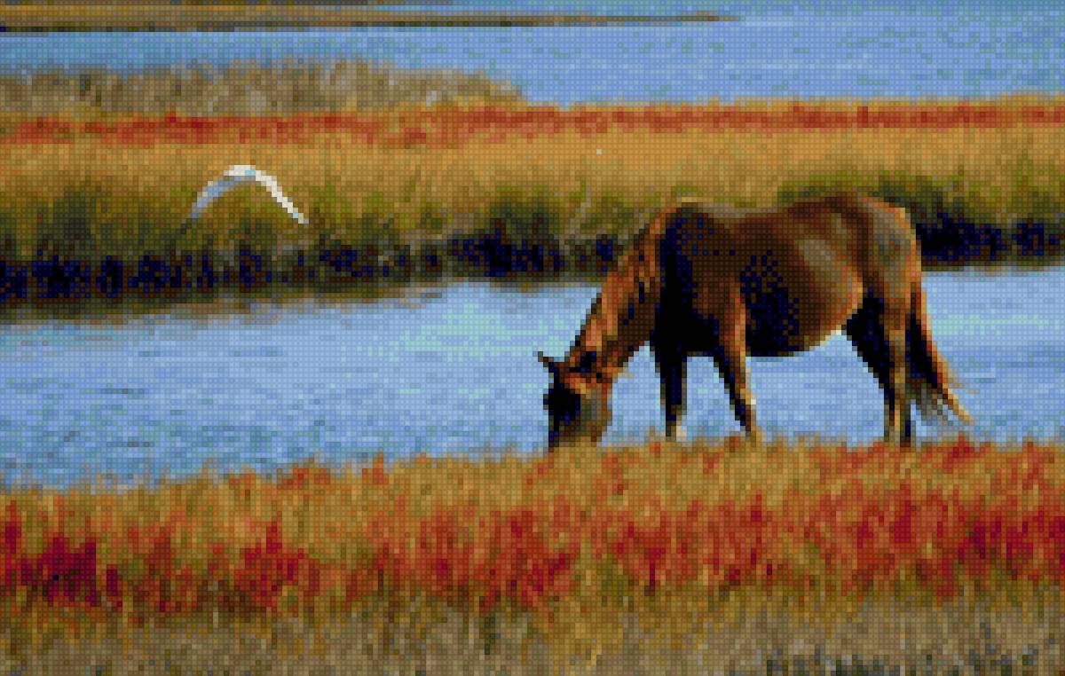 Лошадь возле озера - звери, озеро, природа, лошадь - предпросмотр