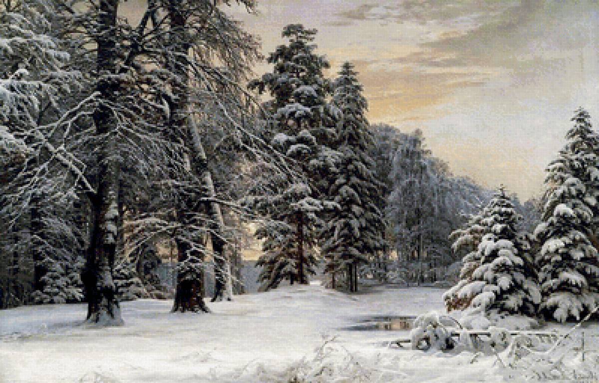 Зима в лесу - лес, снег, пейзаж, мороз, зима - предпросмотр