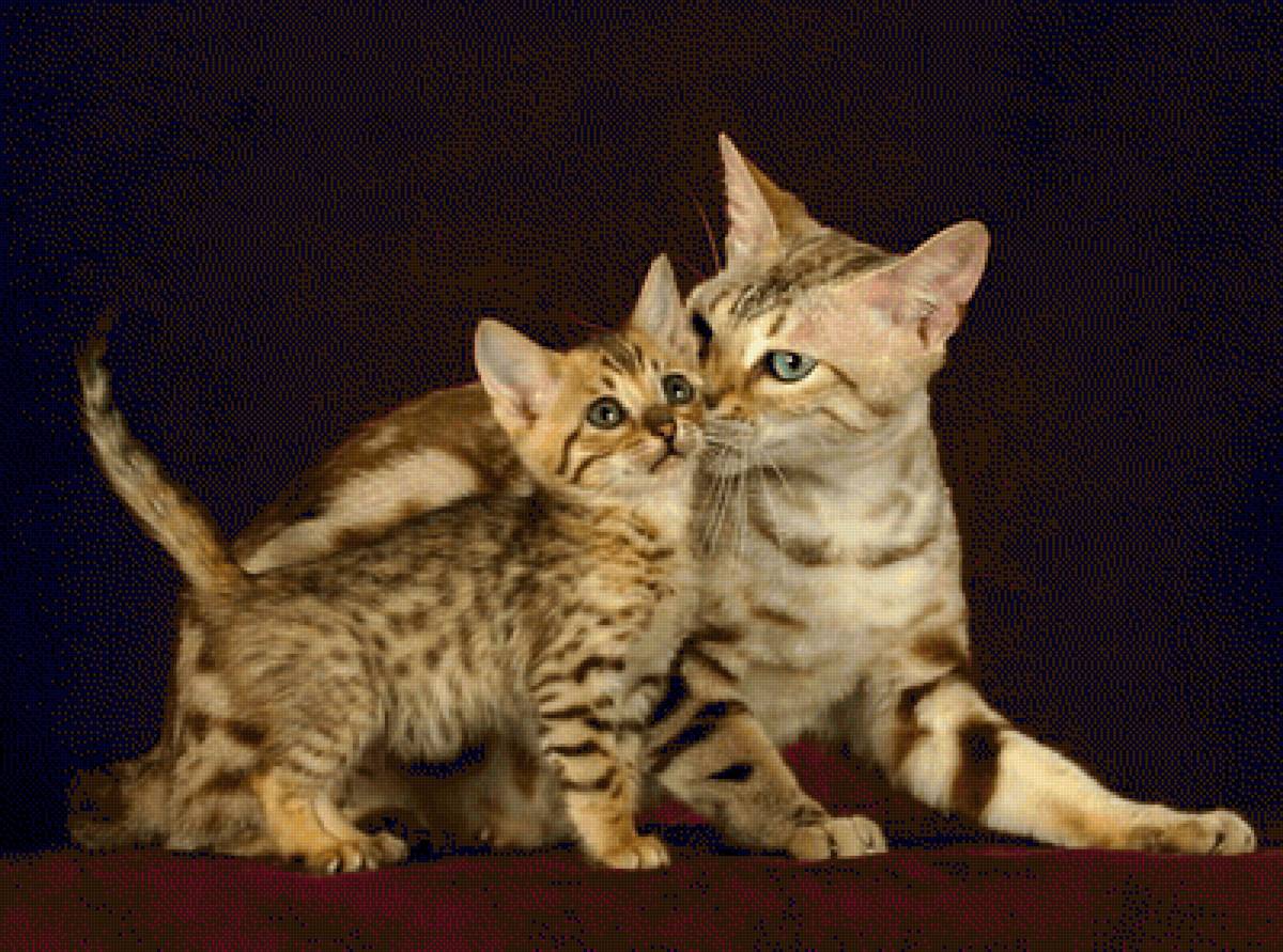 №2430399 - предпросмотр